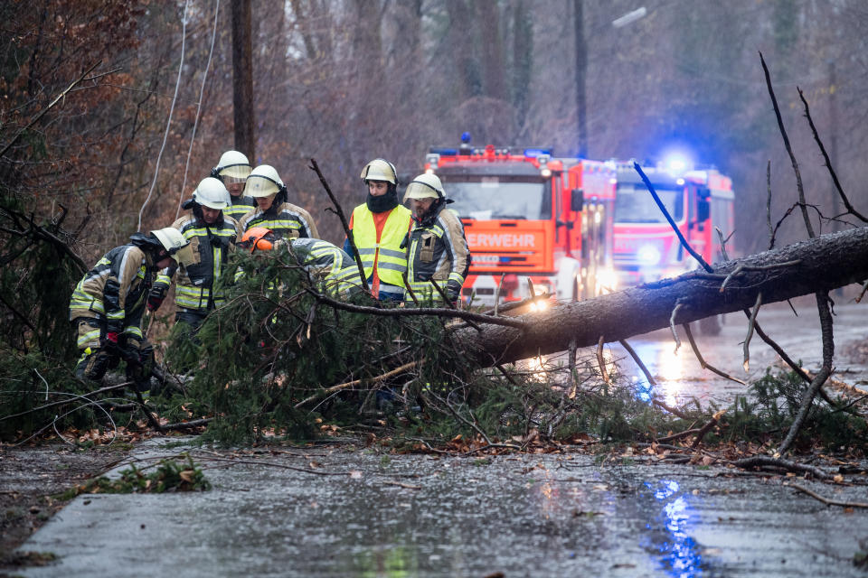 Einsatzkräfte entfernen einen auf eine Straße gestürzten Baum bei Pullach (Bayern) (Bild: Matthias Balk/dpa)