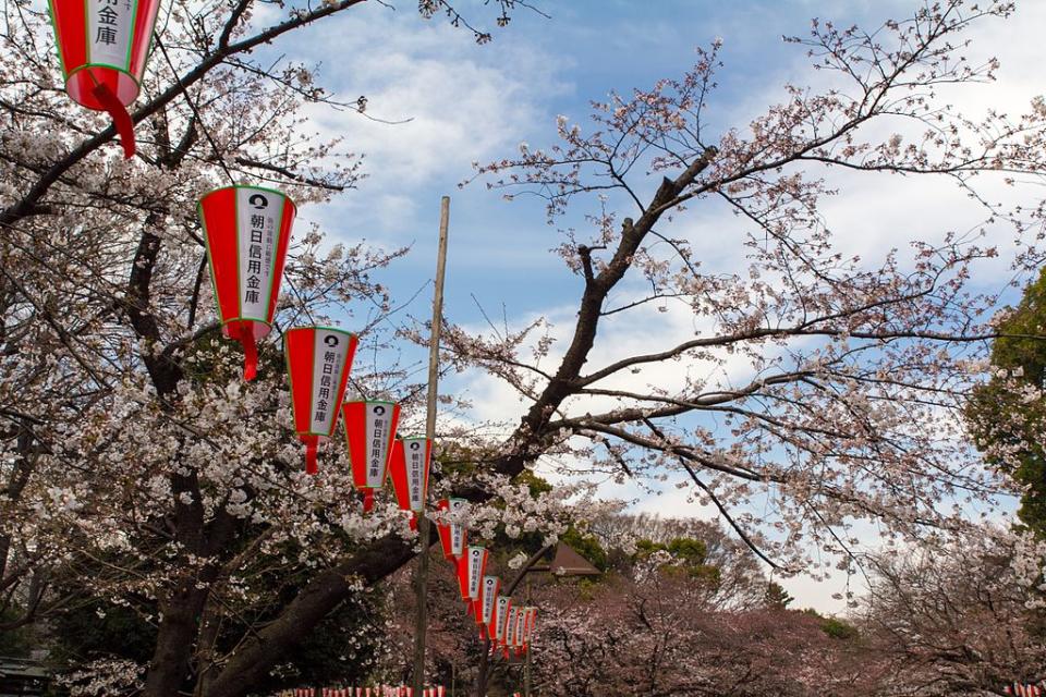 上野公園 (Photo by Oren Rozen, License: CC BY-SA 4.0, Wikimedia Commons提供)