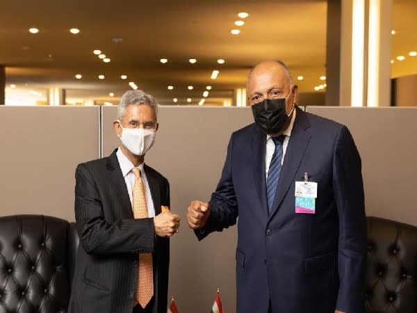  External Affairs Minister S Jaishankar with his Egyptian counterpart Sameh Shoukry.