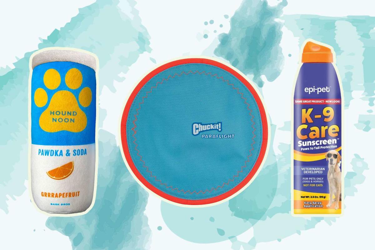 The 13 Best Beach Accessories for Dogs of 2023
