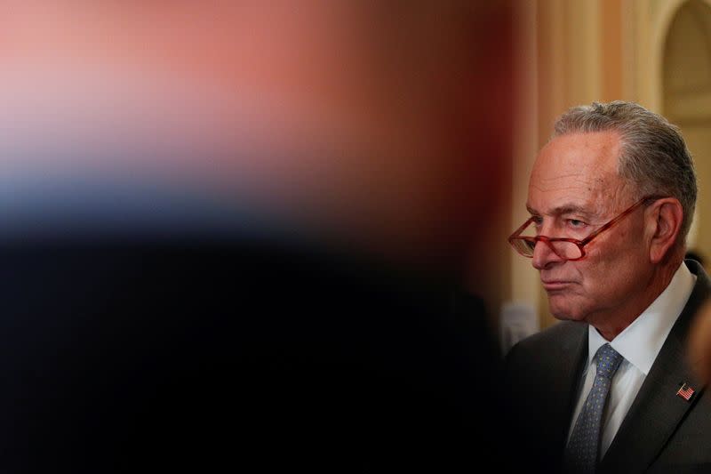 Senate Minority Leader Chuck Schumer (D-NY) speaks to news reporters during a Senate Policy luncheon press conference on Capitol Hill in Washington