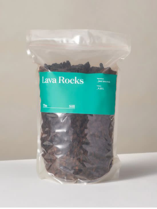 Find these lava rocks for $15 at <a href="https://fave.co/37oML45" target="_blank" rel="noopener noreferrer">The Sill.</a>