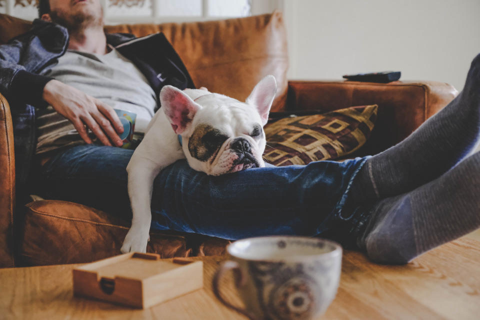 A man relaxes on a sofa holding a beverage, with a French Bulldog sleeping on his lap. A patterned pillow and a coffee cup are visible