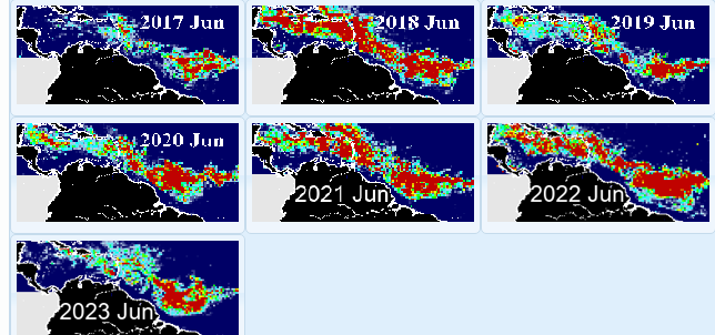 Sargassum accumulations comparing  June 2023 to other years.