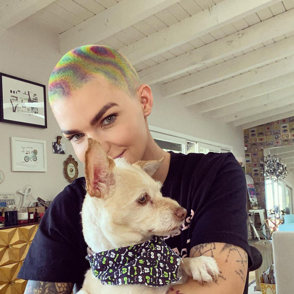 <p>The <em>Orange Is the New Black </em>actress snuggled up to her rescue dog, Ru, to show off her psychedelic new hairdo. "Trippy hair for trippy times ❤️," she wrote. </p>