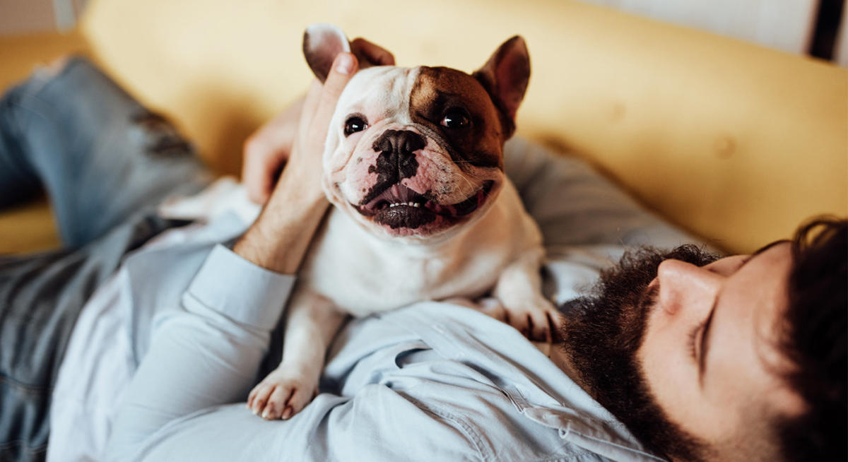 Men's Beards Carry More Bacteria Than Dogs' Fur, Study Suggests