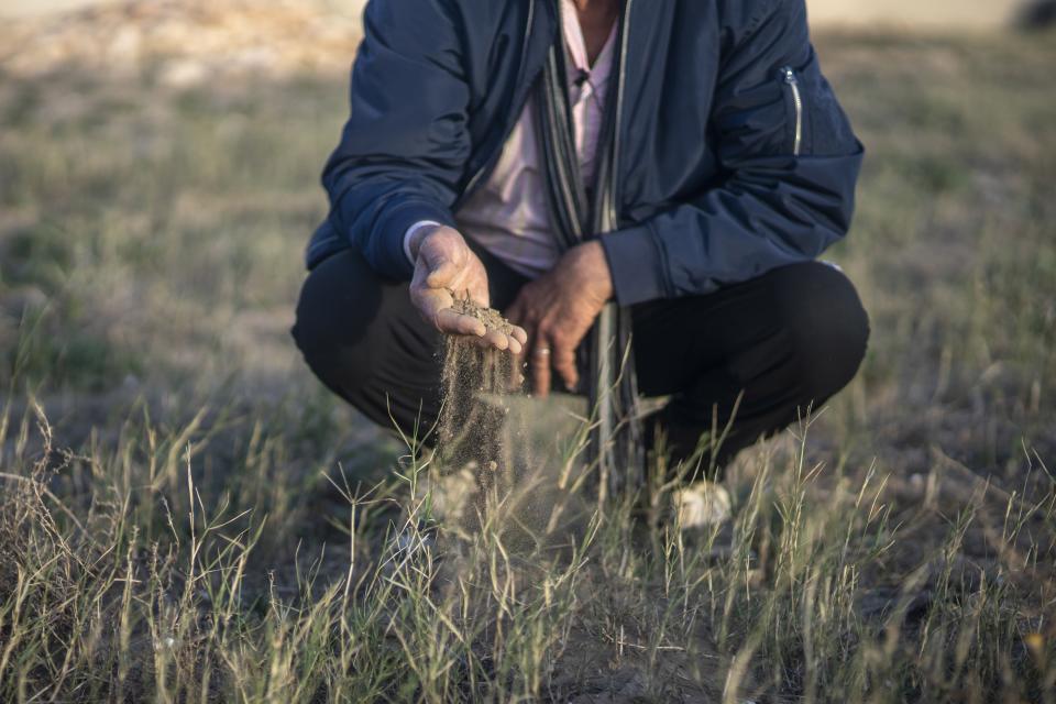 Mimoun Nadori inspects soil of his drought-stricken lands, in Nador, north of Morocco, Friday, March 8, 2024. Less rainfall and more damming and pumping upstream has left less water flowing through the Moulouya River and threatened the livelihoods of farmers like Nadori. (AP Photo/Mosa'ab Elshamy)