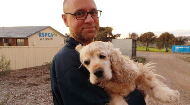 One of the dogs seized from the Milang property. Photo: Alex Fragnito, 7News.