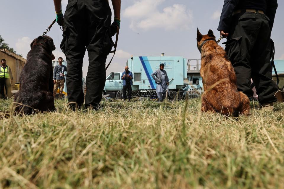 <p>De esta manera los hangares que se usaban para los aviones y los equipos militares estadounidenses se han convertido ahora en centros de entrenamiento para estos perros. (Photo by KARIM SAHIB/AFP via Getty Images)</p> 