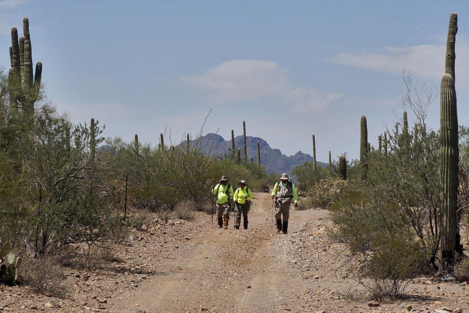 La Iglesia en el Camino (The Church on the Way) Pastor Óscar Andrade, right, searches with volunteers, Sunday, Sept. 4, 2022 , in the Ironwood Forest National Monument in Marana, Ariz., for a missing Honduran migrant. Andrade heads a group that provides recovery efforts for families of missing migrants. Andrade has received over 400 calls from families in Mexico and Central America whose relatives, sick, injured or exhausted, were left behind by smugglers in the borderlands. (AP Photo/Giovanna Dell'Orto)