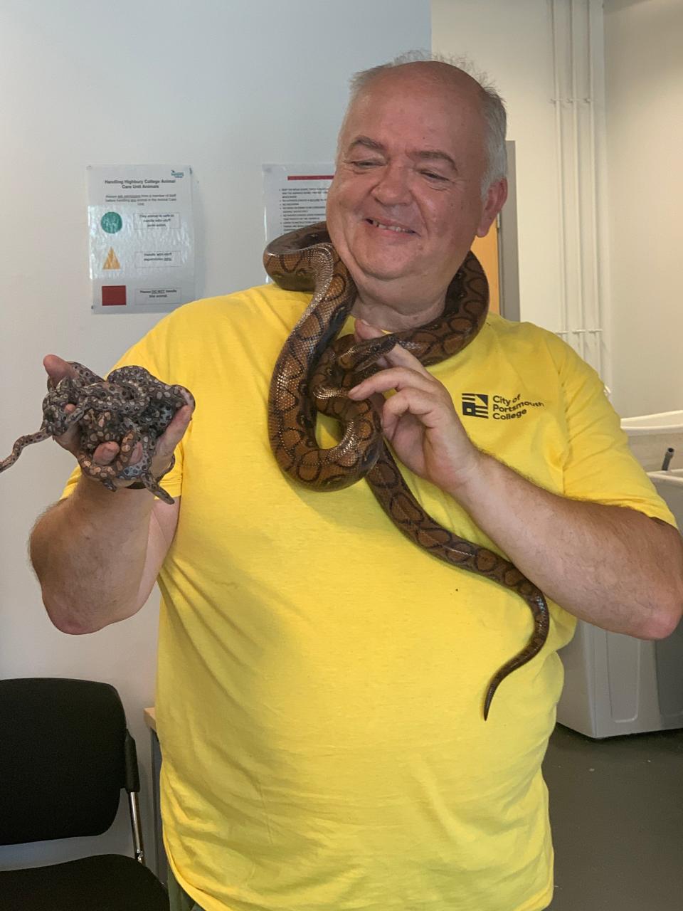 Pete Quinlan, a reptile expert at the City of Portsmouth College in England, with a six-foot Brazilian rainbow boa and her babies.