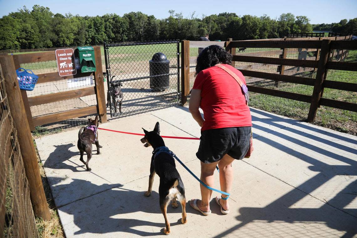 Dog owners take their pets to enjoy a ribbon cutting ceremony to announce the city’s seventh dog park at Veterans Park in Lexington, Ky., Wednesday, August 31, 2022.