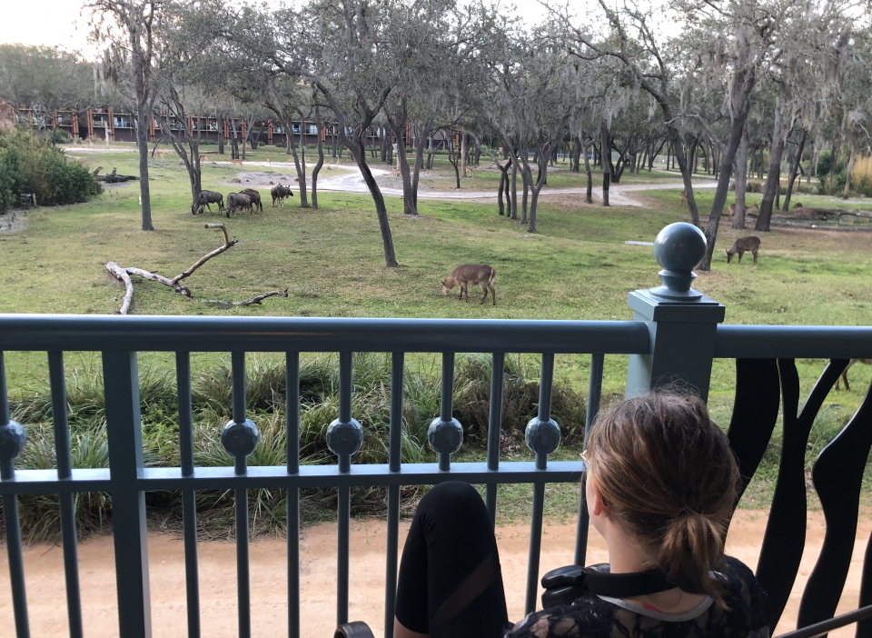 The author watches from her balcony