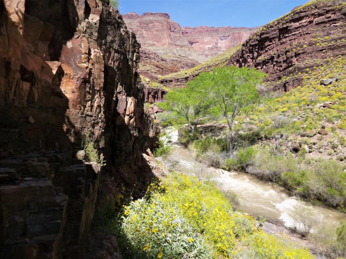 The Grand Canyon's Thunder River Trail and Tapeats Creek are seen in this National Park Service photo.