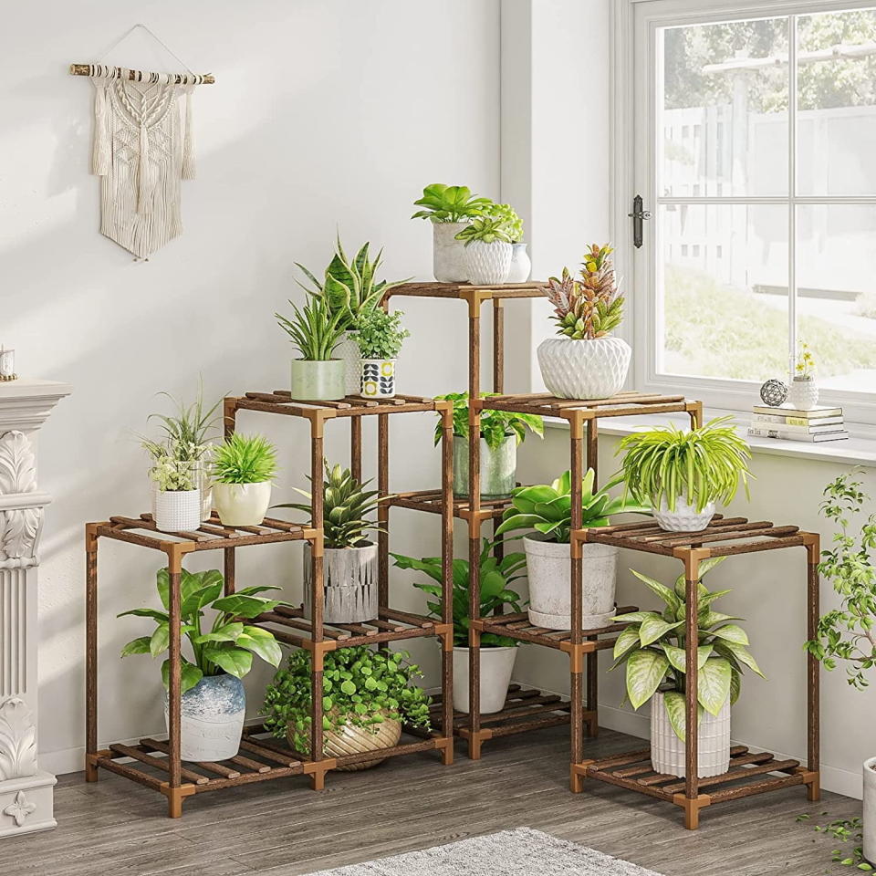 a corner bamboo shelf filled with plants