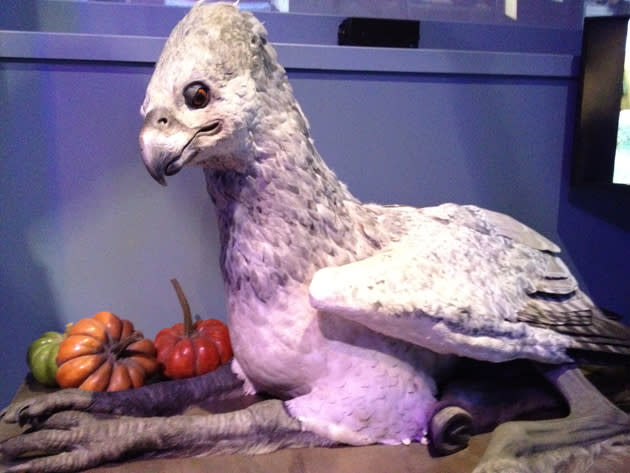 <b>Harry Potter Studio Tour</b><br><br> Buckbeak.