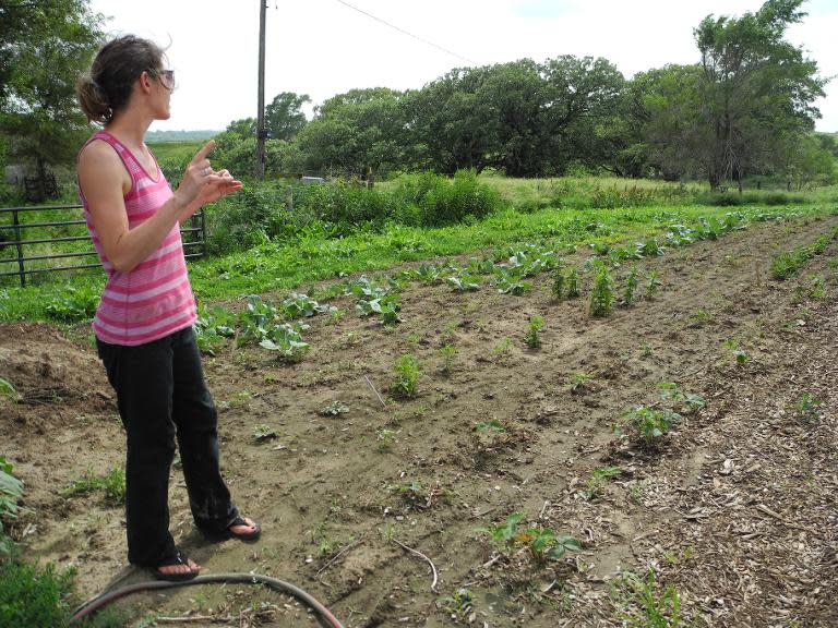Danelle Myer shows the field where she will grow most of her vegetables next year, located next to her house, June 18, 2014 in Logan, Iowa