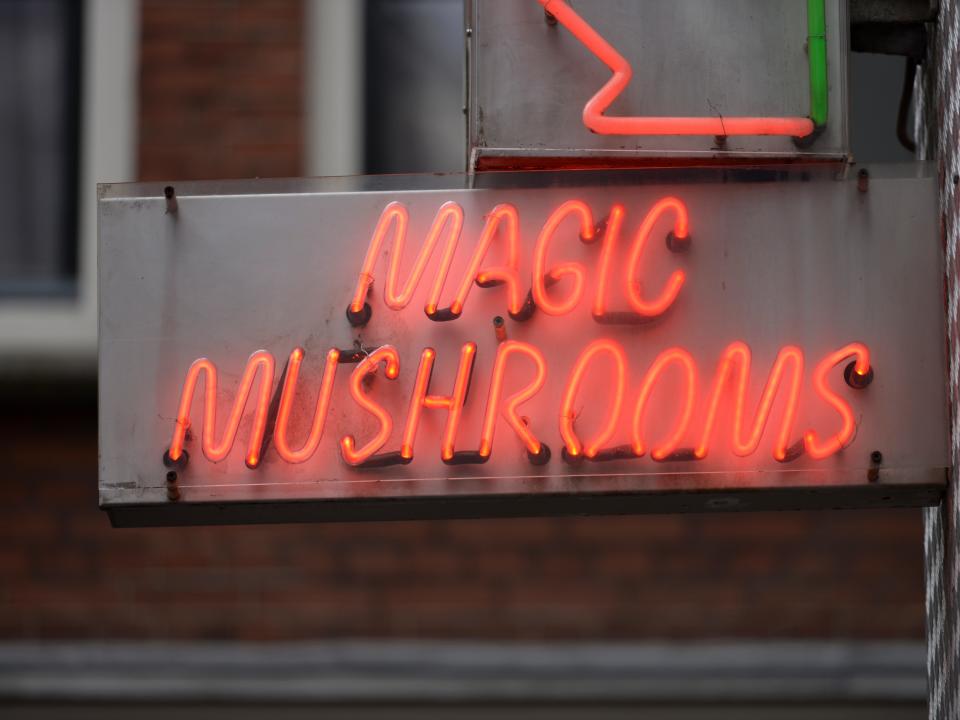 magic mushrooms