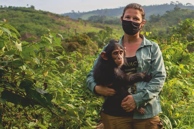 <p>Forêt de Kiobo, République démocratique du Congo. Dans les bras d’Amandine Renaud, un nouveau pensionnaire, Naseka, 18 mois. Le masque permet d’éviter la transmission mutuelle de maladies.</p>