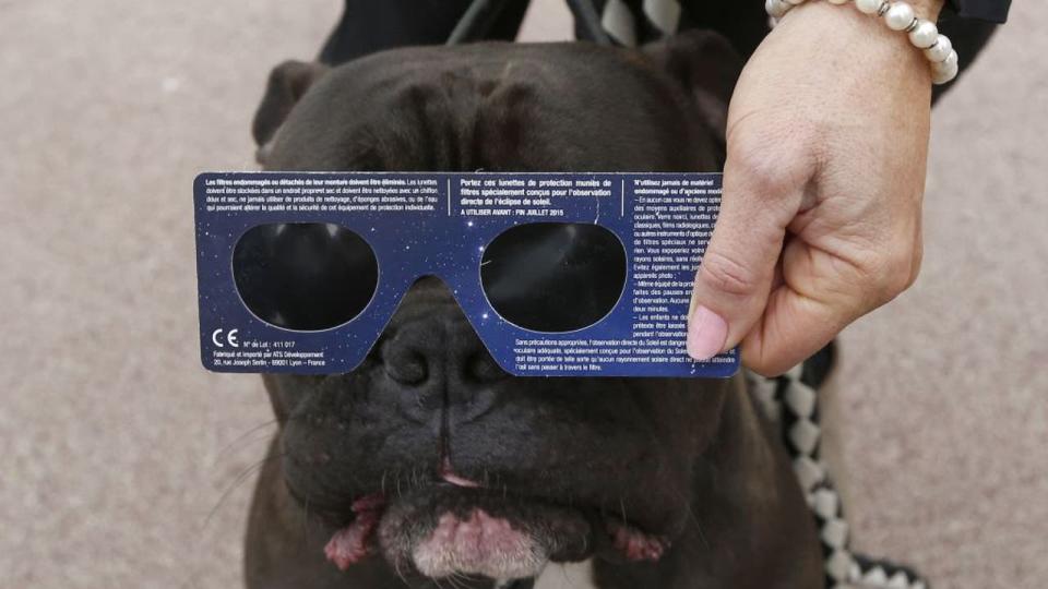 <div>A woman uses protective glasses for her dog during a solar eclipse on March 20, 2015 in Nice, southeastern France. All eyes were turned to the heavens early for a solar eclipse offering spectacular views from selected airplane seats, European countries with clear skies and a remote Arctic archipelago. AFP PHOTO / VALERY HACHE (Photo by VALERY HACHE / AFP) (Photo by VALERY HACHE/AFP via Getty Images)</div>