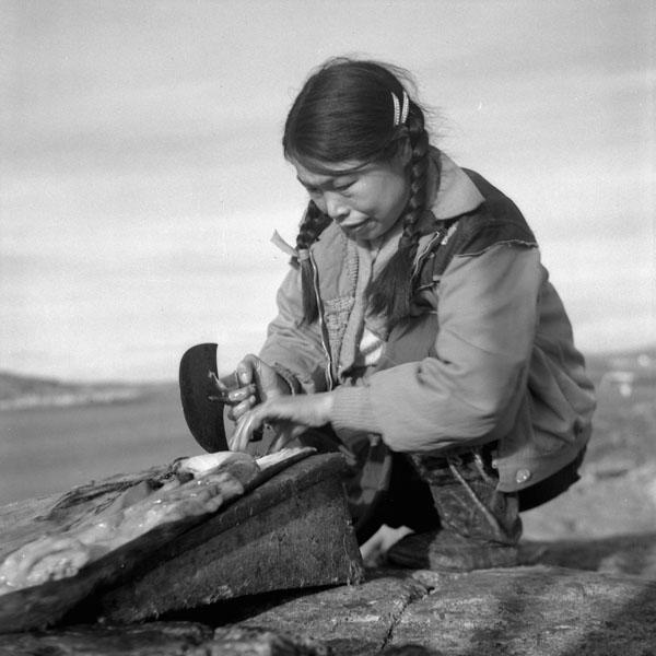 El uso de la piel de foca es parte del modo de vida de los Inuit en el norte de Canadá (Rosemary Gilliat. Library and Archives Canada)