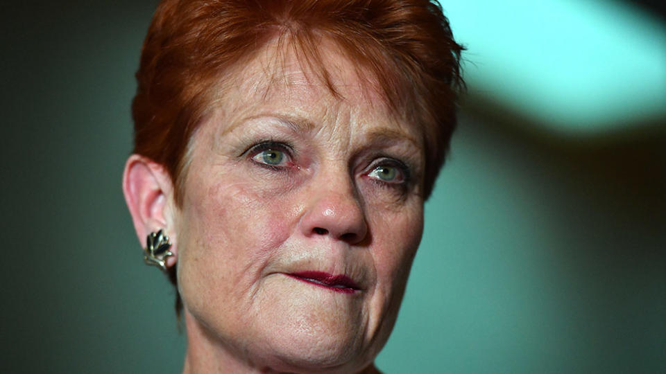 One Nation Senator, Pauline Hanson has lashed out at family court "liars". Source: AAP.