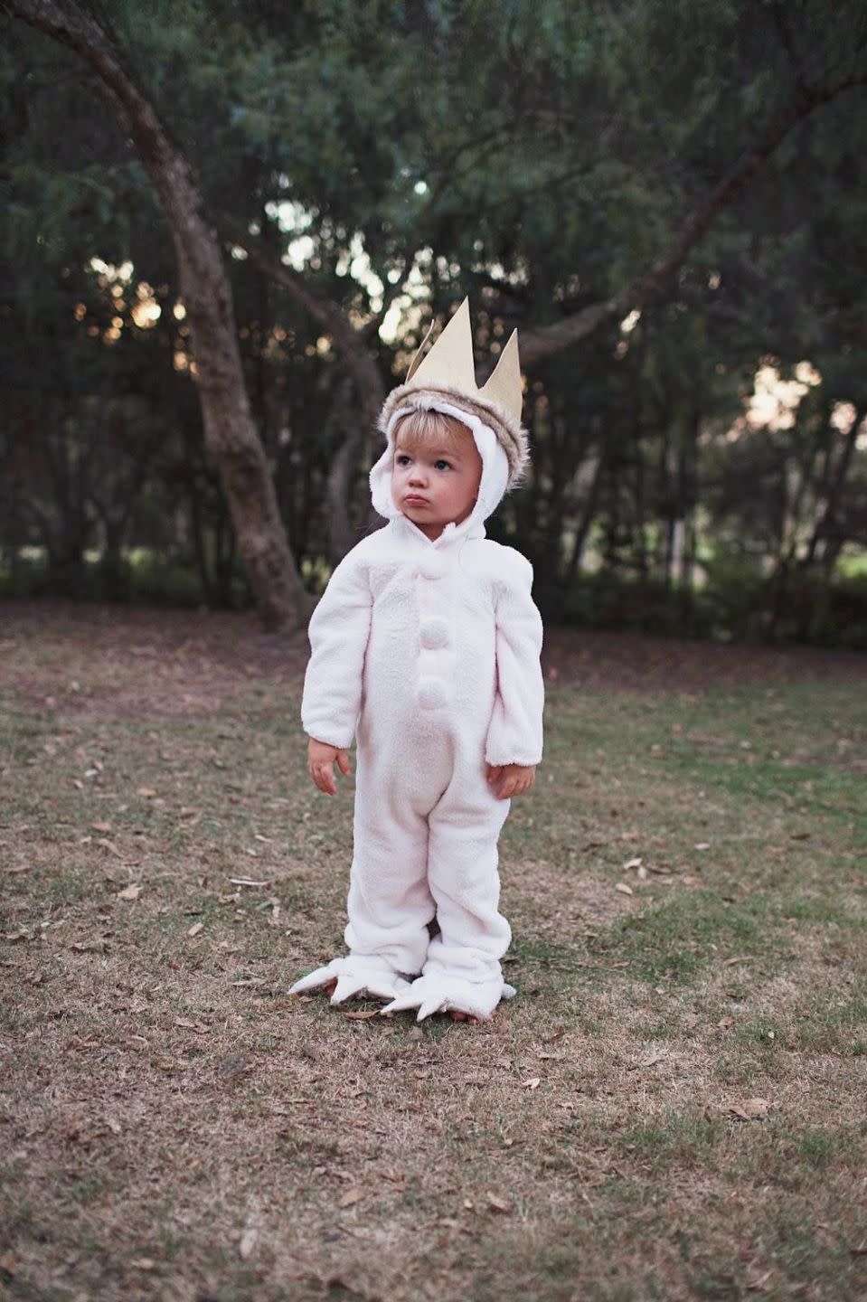 book character costumes where the wild things are