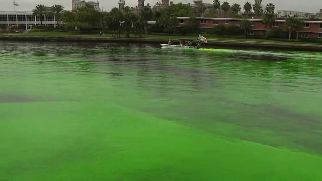 Tampa's St. Patrick's Day parade moves downtown, leaving Ybor