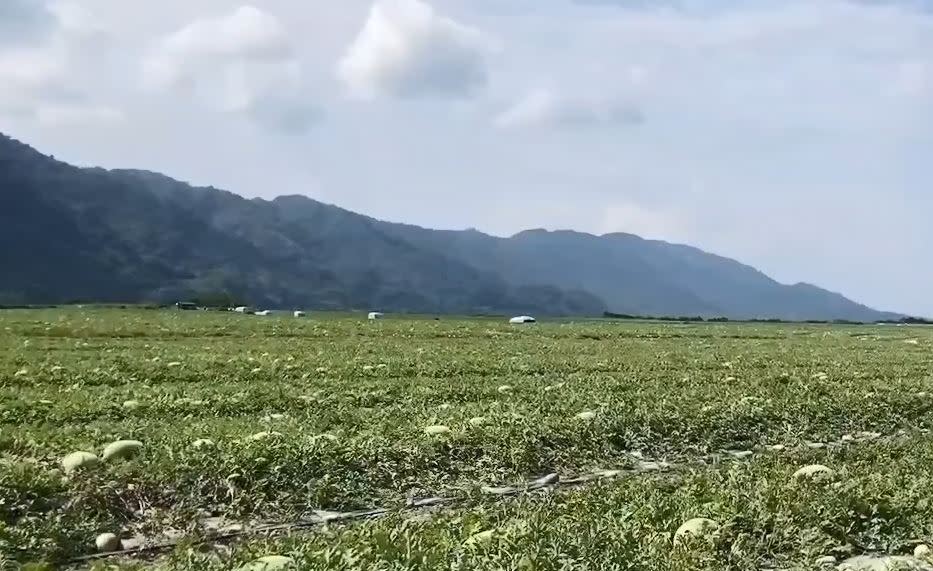 花蓮西瓜銷量大幅下降！　熱心民眾PO文　號召宜蘭鄉親支持