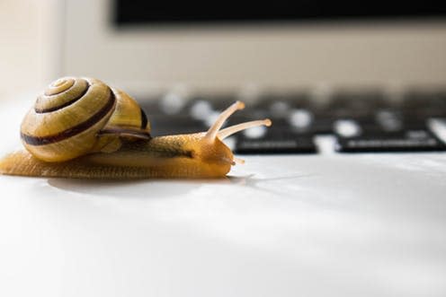 <span class="caption">Taking it slow.</span> <span class="attribution"><a class="link " href="https://www.shutterstock.com/image-photo/snail-crawling-across-laptop-computer-slow-1207258801?src=SZ6CdrH-QTdt7mW54jzP-w-1-1" rel="nofollow noopener" target="_blank" data-ylk="slk:Zenza Flarin/Shutterstock;elm:context_link;itc:0;sec:content-canvas">Zenza Flarin/Shutterstock</a></span>