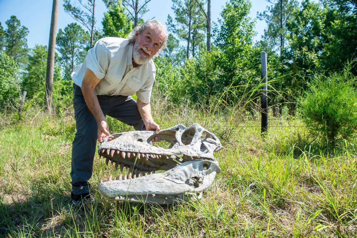 David King, professor of geology at Auburn University, poses in 2022 with a replica of an Appalachiosaurus fossil at the site where he discovered it 40 years ago in Southeastern Montgomery County, Alabama. Appalachiosauruses also roamed the land that became Asheville.