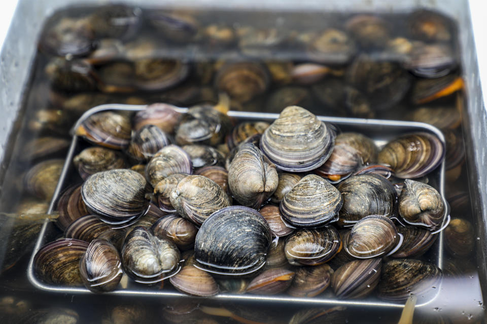蛤蜊、蝦子、透抽要如何保存？海鮮食材保存與處裡方法看這裡！（圖／Getty Images）