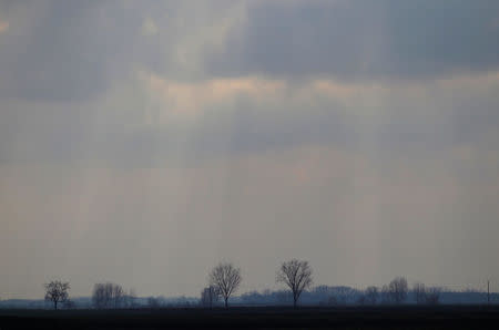 Trees stand next to the village of Bacsszentgyorgy, Hungary, March 25, 2018. REUTERS/Bernadett Szabo