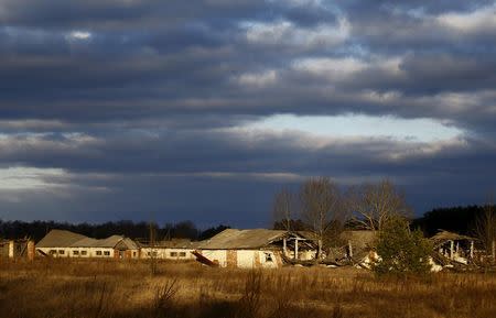 Ruined farm's buildings are seen in the 30 km (19 miles) exclusion zone around the Chernobyl nuclear reactor in the abandoned village of Pogonnoe, Belarus, March 13, 2016. REUTERS/Vasily Fedosenko