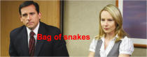 <p>Bag of snakes: A business situation with many unexpected problems. </p>