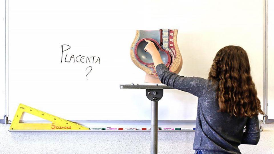 Una mujer señala el útero en una pizarra