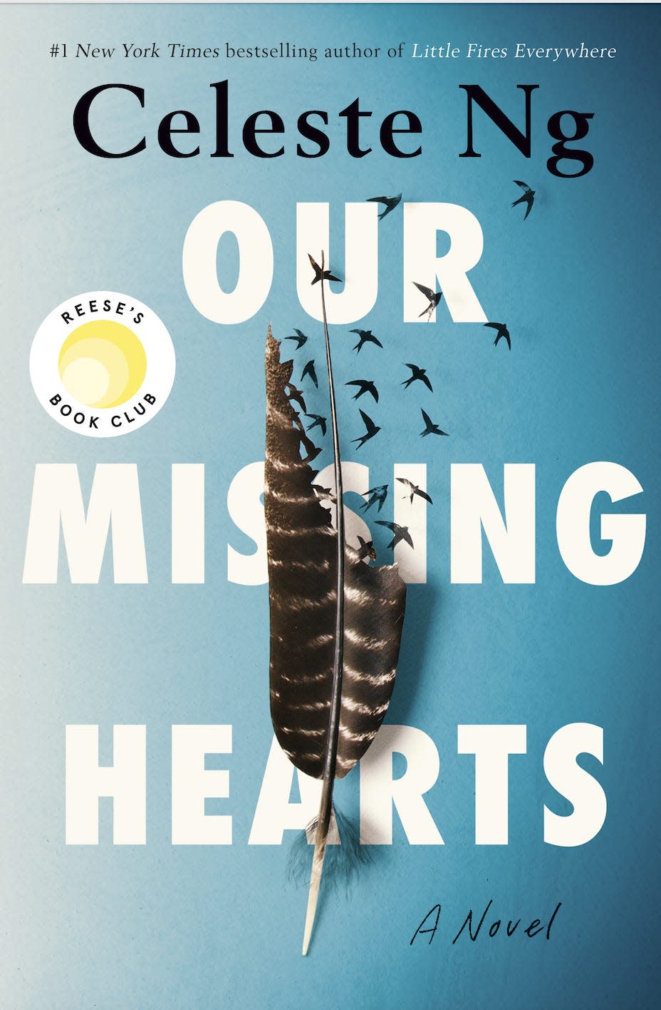 our missing hearts