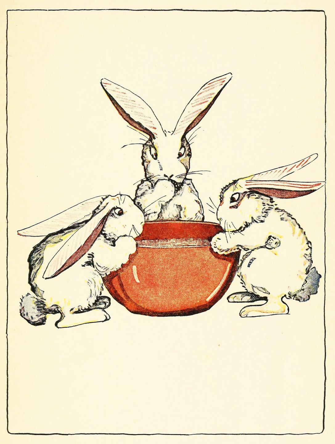 beatrix potter illustration