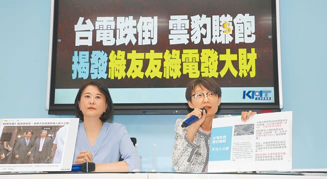 國民黨立法院黨團副書記長吳怡玎（右）、王鴻薇（左）22日召開「台電跌倒 雲豹賺飽 揭發綠友友 綠電發大財」記者會，痛批「綠友友」靠綠電賺大錢，讓台電虧到爆。（劉宗龍攝）