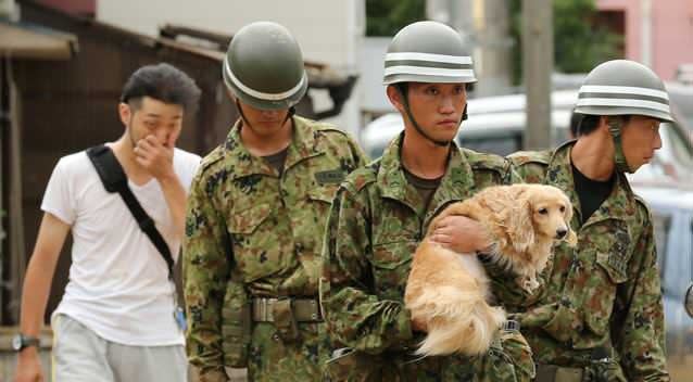 A pet dog carried by the Japanese Self Defense Force at the site of a landslide in a residential area. Photo: Getty