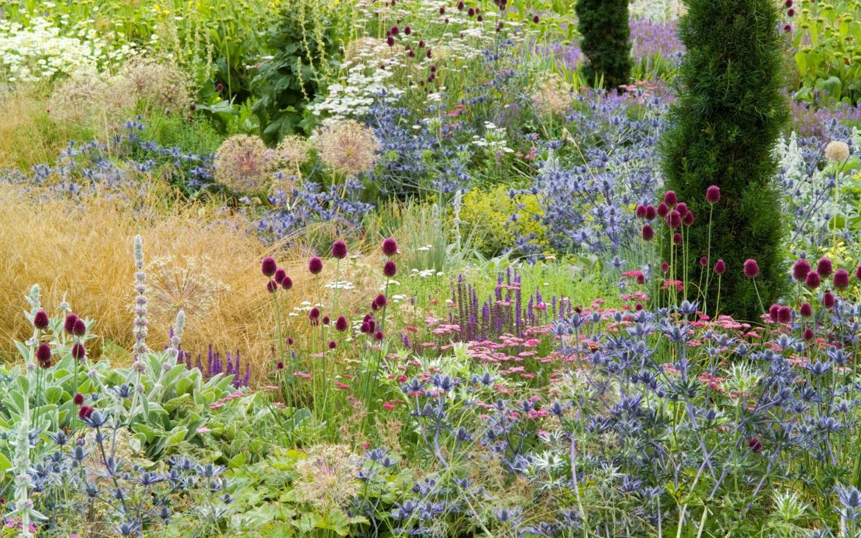 A mix of perennial and grass borders at Broughton Grange