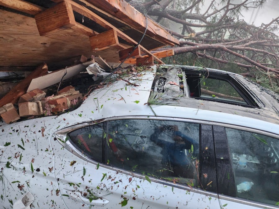 Storm damage (Chatham McKinny)