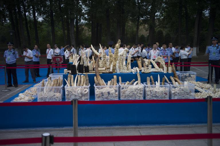 Ivory items are shown to the media before being destroyed in Beijing on May 29, 2015