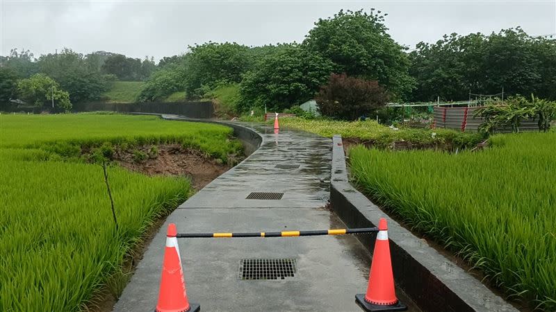 農田下陷形成巨型天坑，橫跨便道左右兩邊，目前已暫時封閉。(圖／翻攝畫面)