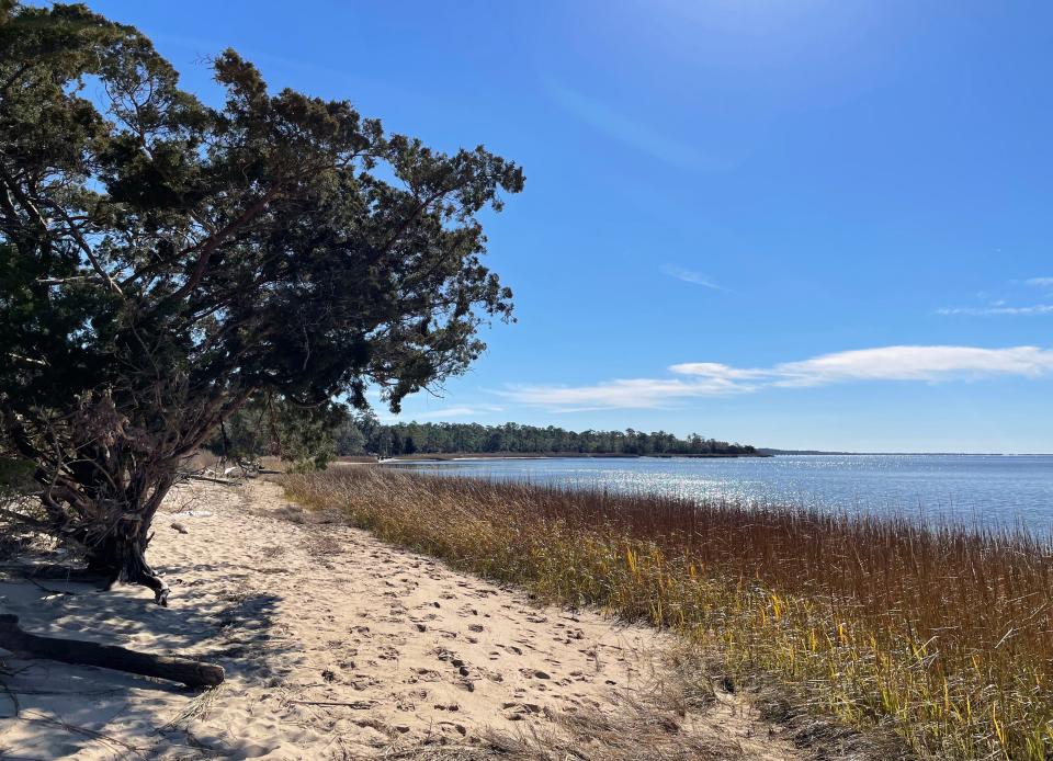 Carolina Beach State Park was the second most visited state park in North Carolina in 2020 with 1.5 million visitors, marking a 78-percent growth over 2019.