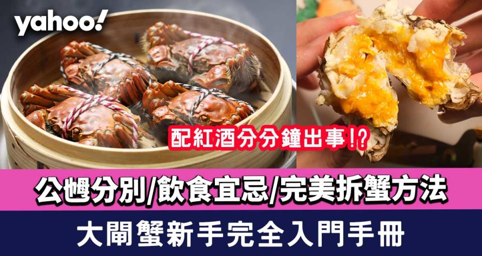 大閘蟹2023│大閘蟹新手必學 公乸分別/煮法/飲食宜忌/完美拆蟹方法/配酒