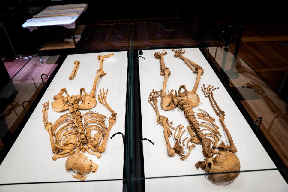 Two skeletons of relatives lie in a showcase at the National Museum of Denmark, after one of them was found in a mass grave in Oxford, Britain, and will be reunited in the exhibition 'Join the Vikings - the raid' later this month, in Copenhagen, Denmark June 9, 2021.  Ritzau Scanpix/Ida Marie Odgaard via REUTERS    ATTENTION EDITORS - THIS IMAGE WAS PROVIDED BY A THIRD PARTY. DENMARK OUT. NO COMMERCIAL OR EDITORIAL SALES IN DENMARK.