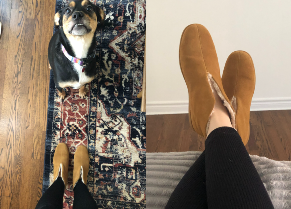 Wearing my Everlane ReNEw Slipper Boots. Shout out to my dog, Shiloh for cheesing for the camera. 