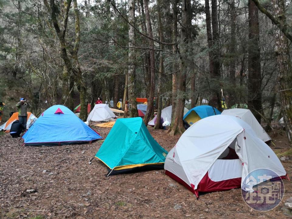 松針營地非常寬廣。