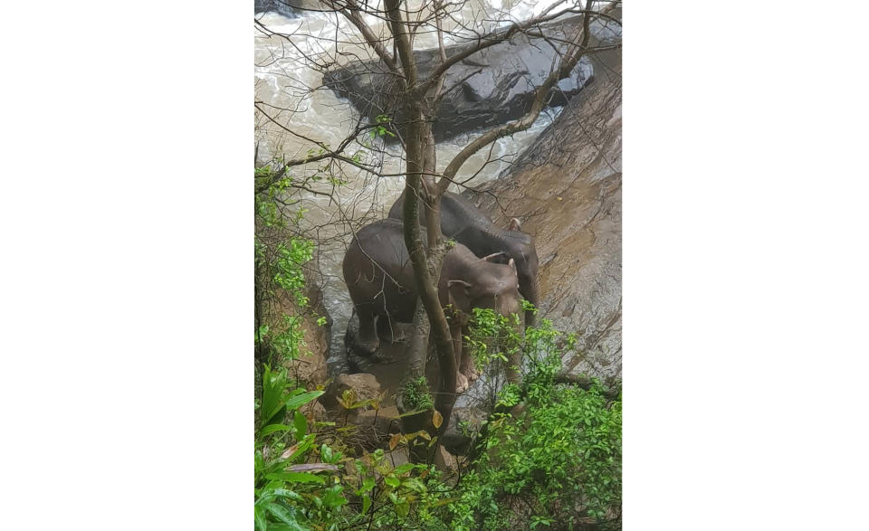 In this Oct. 5, 2019, photo released by the Department of National Parks, two elephants are seen stuck on the edge of the Haew Narok Waterfall in Khao Yai National Park, Nakhon Nayok, central Thailand. A herd of wild elephants was swept away by raging waters in Thailand's national park, drowning six, while rangers helped steer two animals out of a deep ravine. (Department of National Parks via AP)